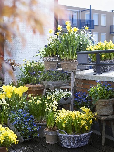 decorar-balcon14