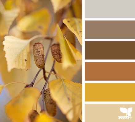 Paleeta de colores Otoño