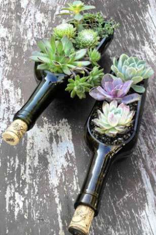 Botellas de vino convertidas en tiestos