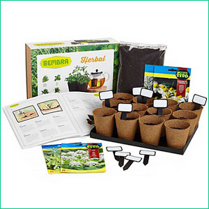 Kit para plantar en casa Hierbas de Infusiones