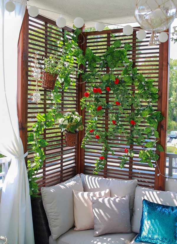 Plantas para Tapar a los Vecinos y aumentar tu Privacidad