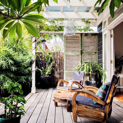 Plantas para tapar a los vecinos y ganar privacidad