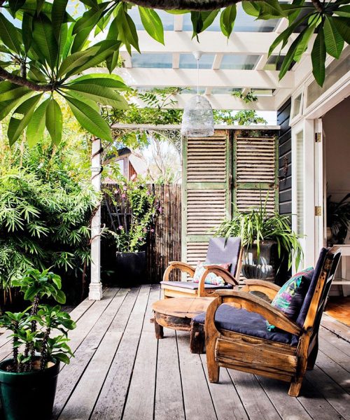 Plantas para tapar a los vecinos y ganar privacidad