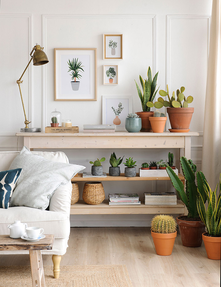 Plantas en un salón nórdico minimalista con suelo de madera