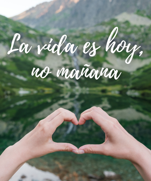 Frases cortas para la vida: La vida es hoy, no mañana