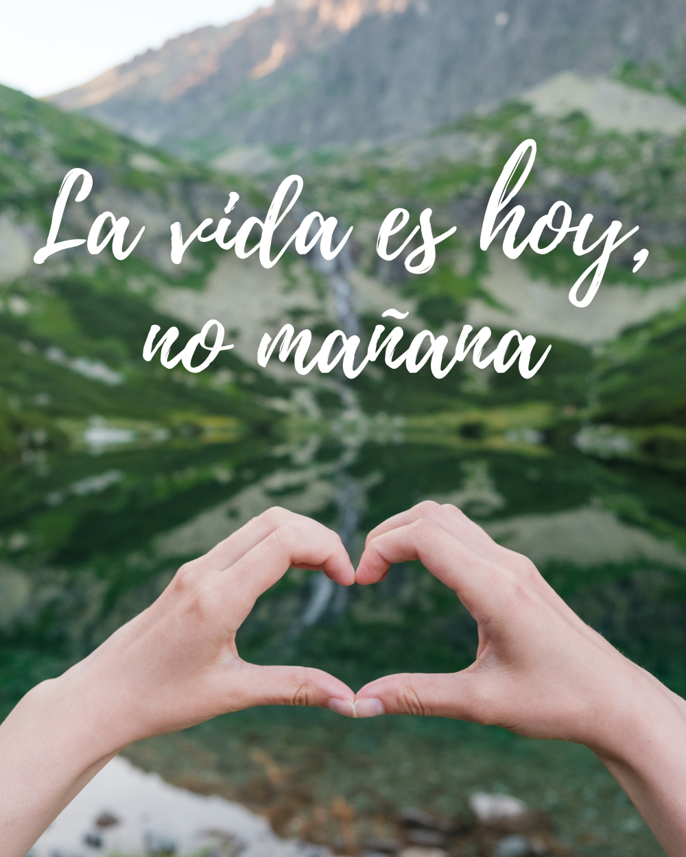 Frases cortas para la vida: La vida es hoy, no mañana